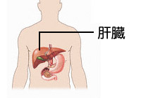 ̑ȁǏ